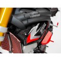 Ducabike - DBK Special Parts Carbon Fiber Radiator Side Panels for Triumph Speed Triple 1200 RR /RS